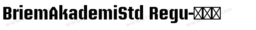 BriemAkademiStd Regu字体转换